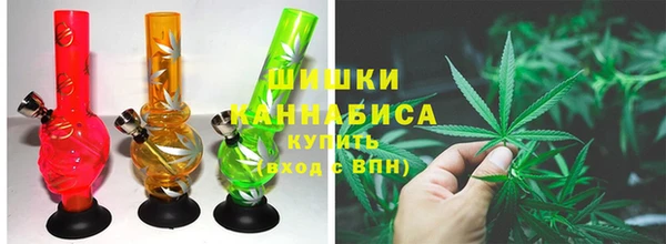mdpv Заводоуковск