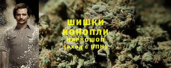 mdpv Заводоуковск